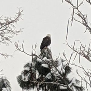 Meet your Posher, Tamara